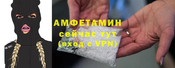 спиды Богородицк