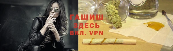 спиды Богородицк