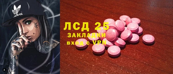 спиды Богородицк