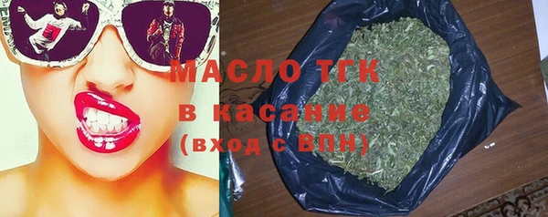 спиды Богородицк