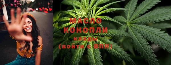 спиды Богородицк