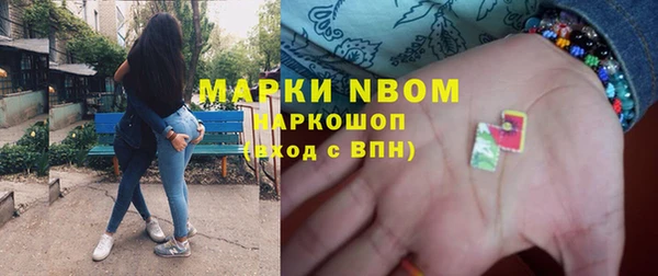 спиды Богородицк