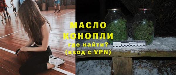 спиды Богородицк