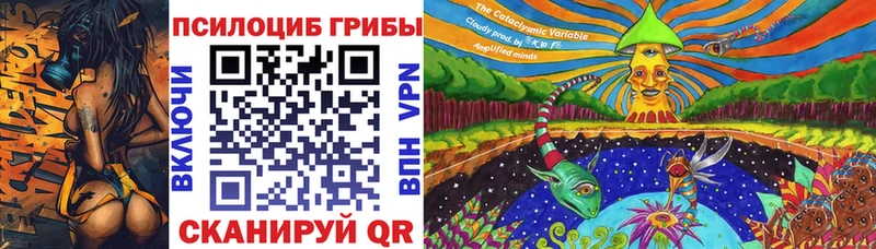 Купить  Сургут  Псилоцибиновые грибы Magic Shrooms 