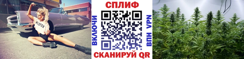 Конопля MAZAR  Купить  Сургут 